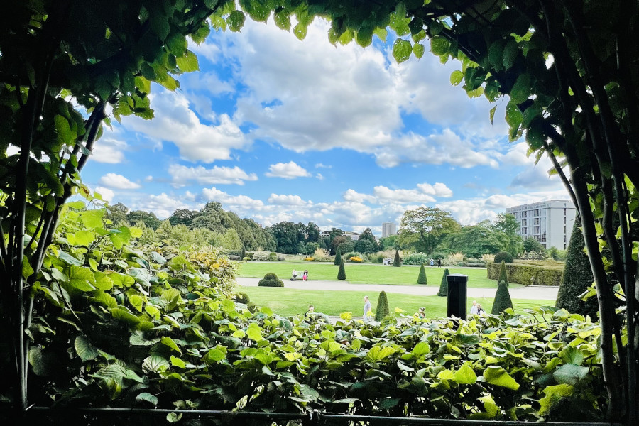 How do You Count Successes in Your Life? | Alexandra Roxana POPA